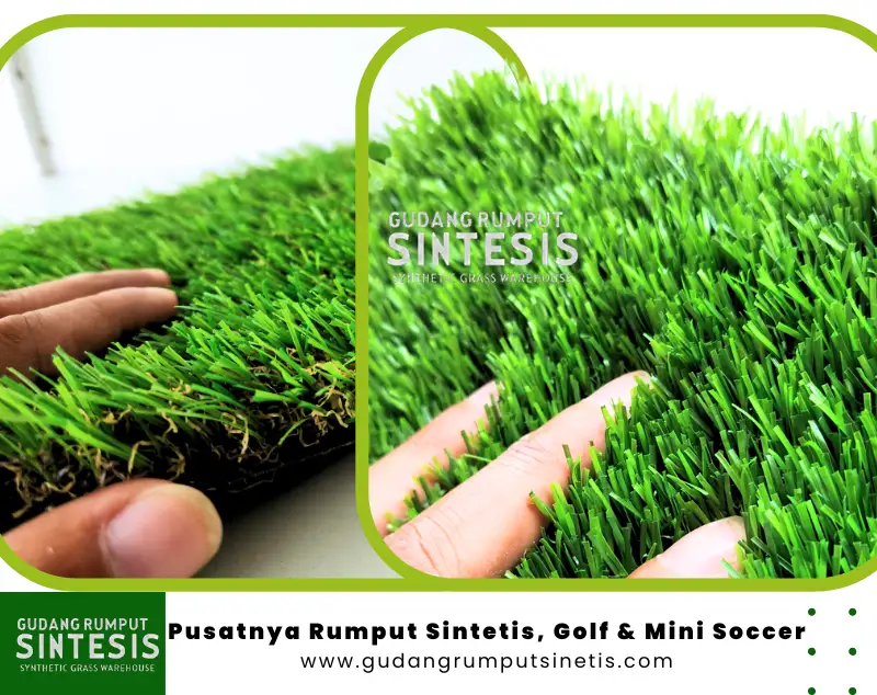 Perbedaan Rumput Sintetis Swiss dan Rumput Sintetis Jepang