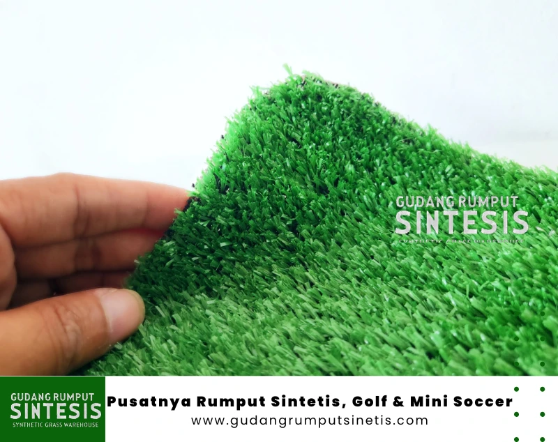 harga rumput sintetis golf