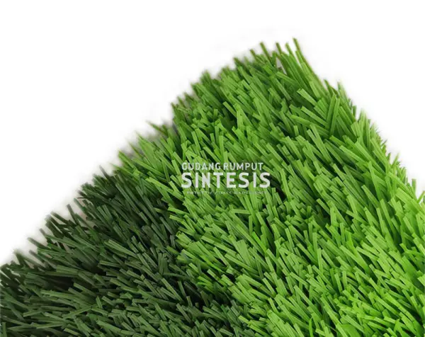 rumput soccer