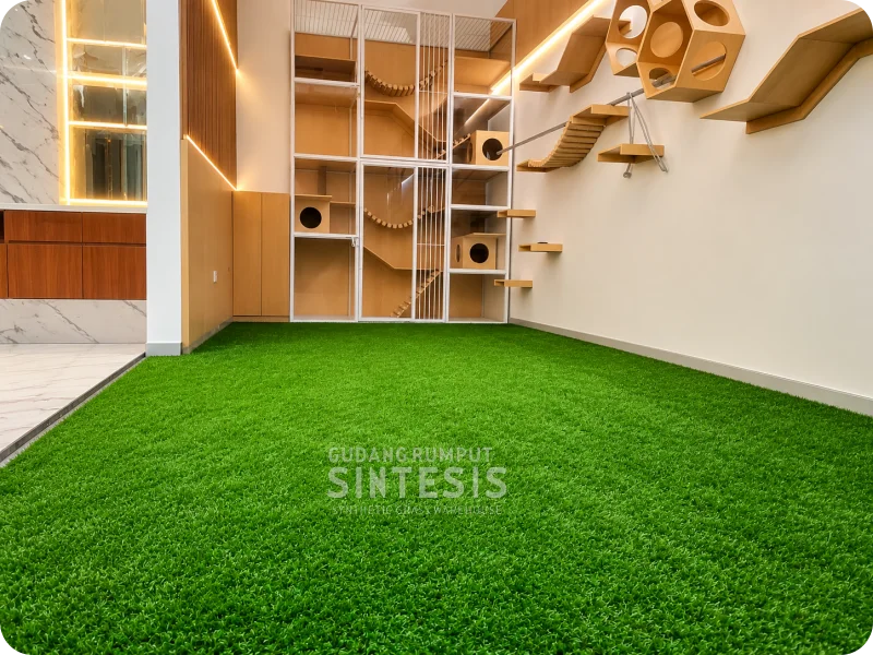 Rumput sintetis untuk taman belakang rumah